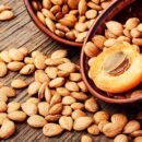 Premium Organic Apricot Kernels from Hunza